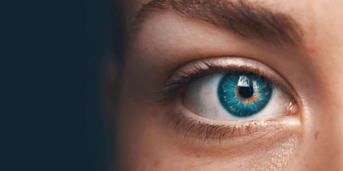 ľudské oko zloenie stavba zrak kvíz test